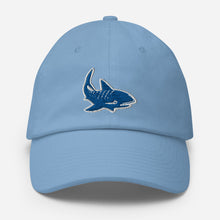 Load image into Gallery viewer, Carolina Blue
